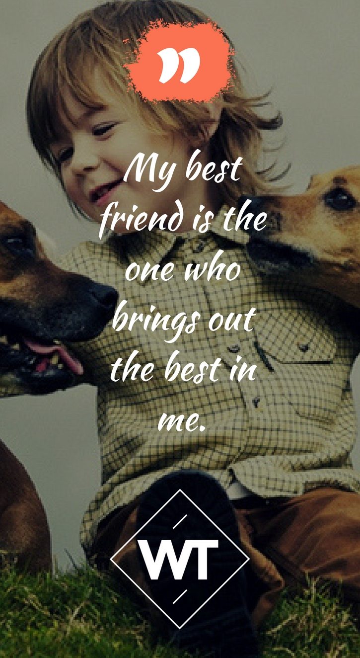 Top 50 Friendship Quotes