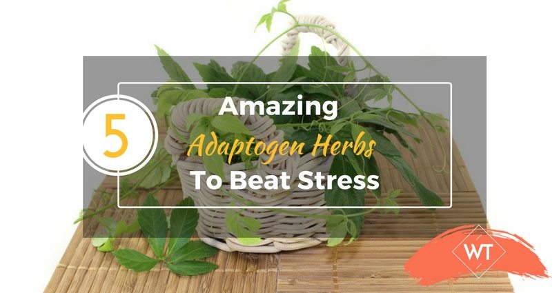 5 Amazing Adaptogen Herbs To Beat Stress