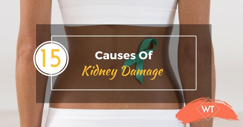 15 Causes Of Kidney Damage