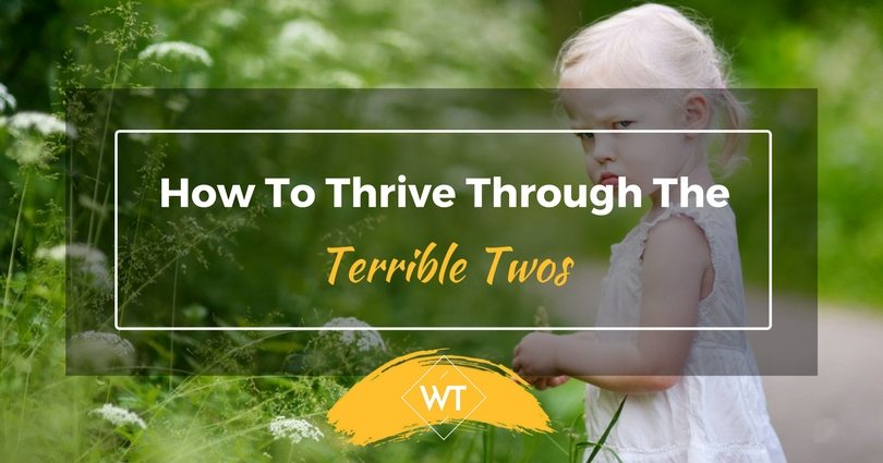 How To Thrive Through The Terrible Twos