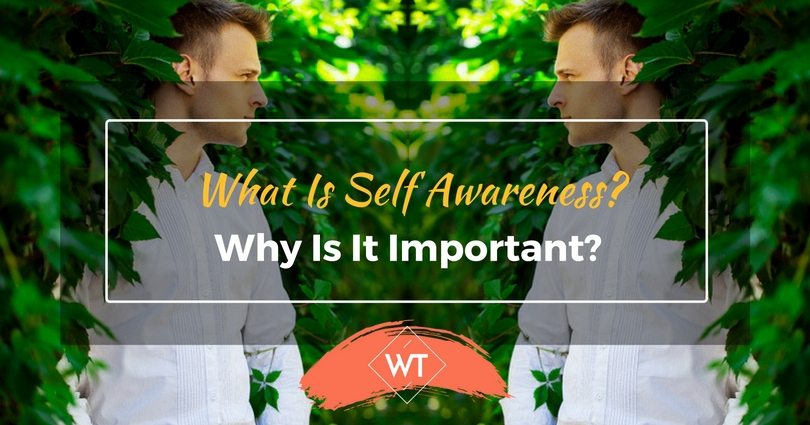What is Self Awareness? Why is it Important?