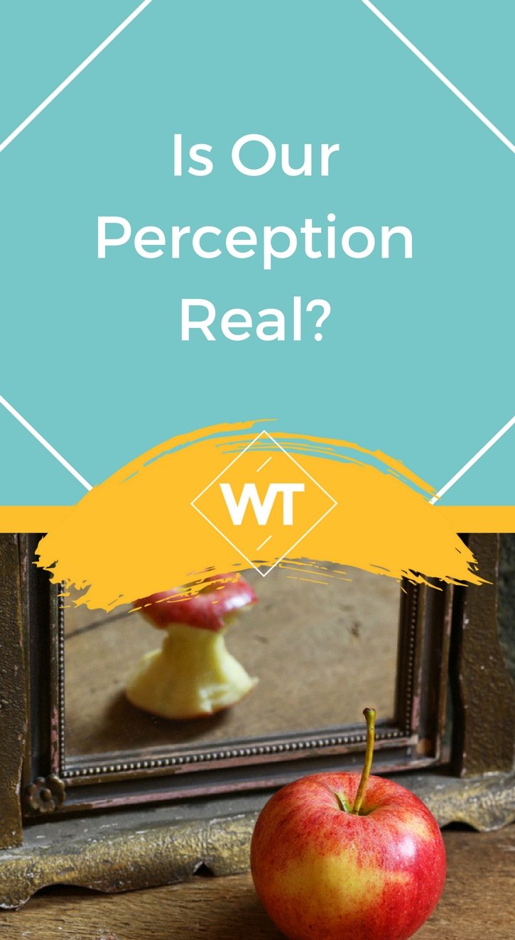 Is Our Perception Real