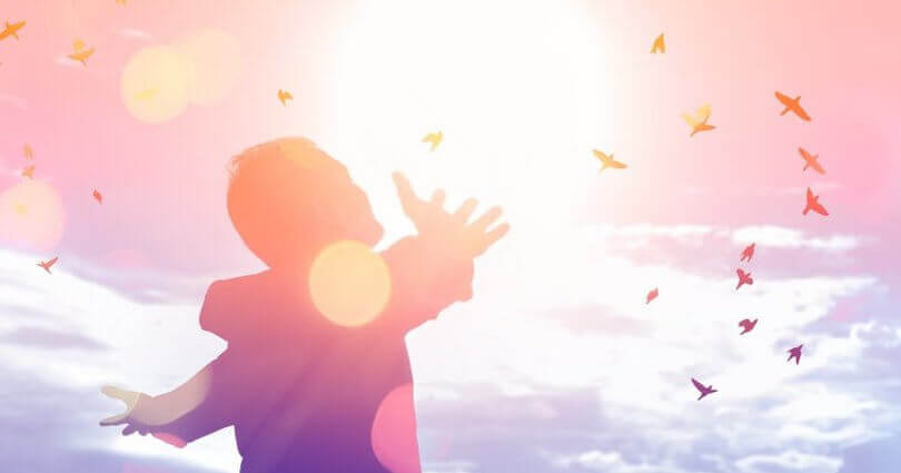 Find My Life Purpose