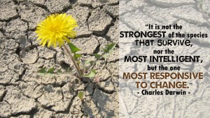 It is not the strongest of the 