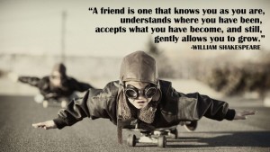 A friend is one that knows you 