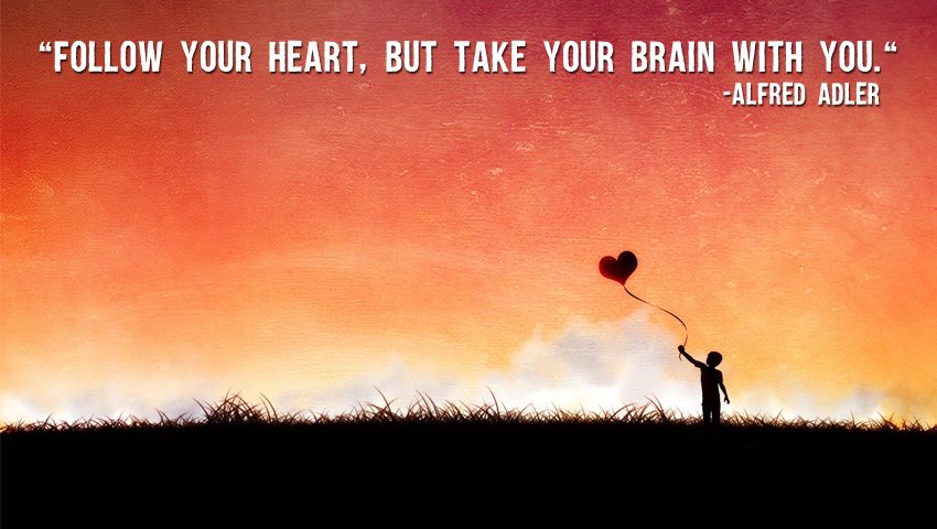 Follow your heart but take 