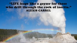 Life leaps like a geyser for those