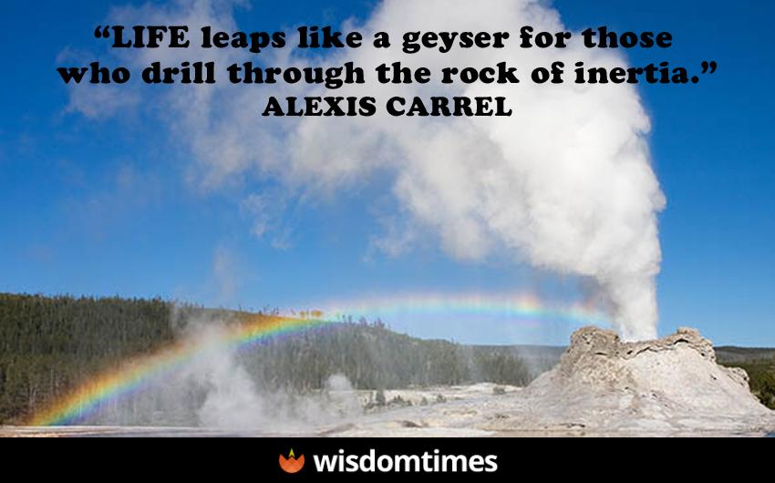 Life leaps like a geyser for those
