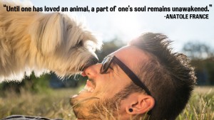 Until one has loved an animal