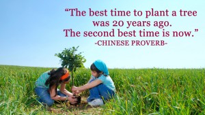 The best time to plant a tree