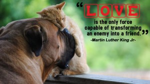 Love is the only force capable of transforming 