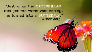 Just when the caterpillar thought