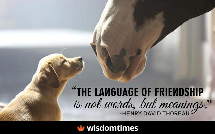 The language of friendship is not 
