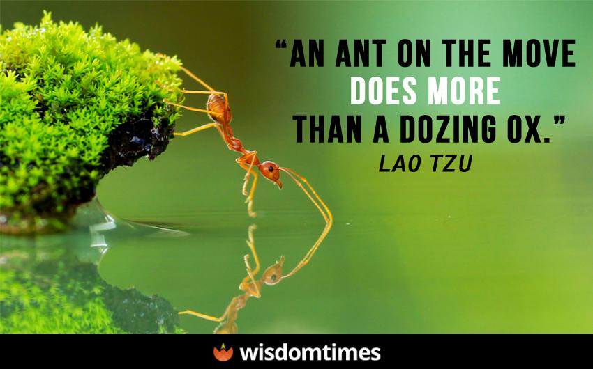 An ant on the move does 