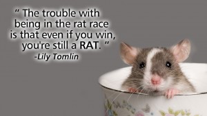 The trouble with being in the rat race