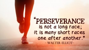 Perseverance is not a long race